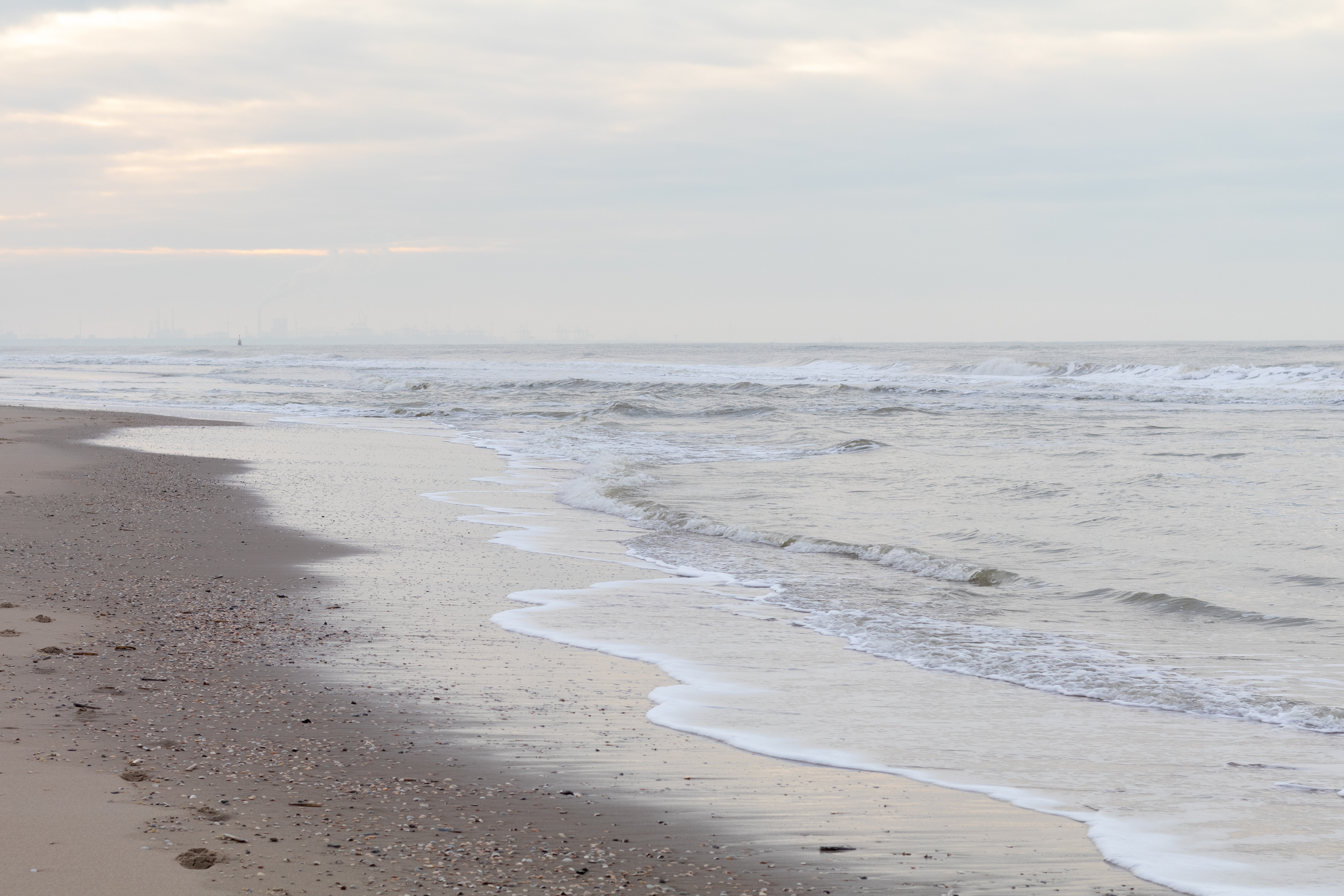 De Zandmotor © Natuurspotters.nl
