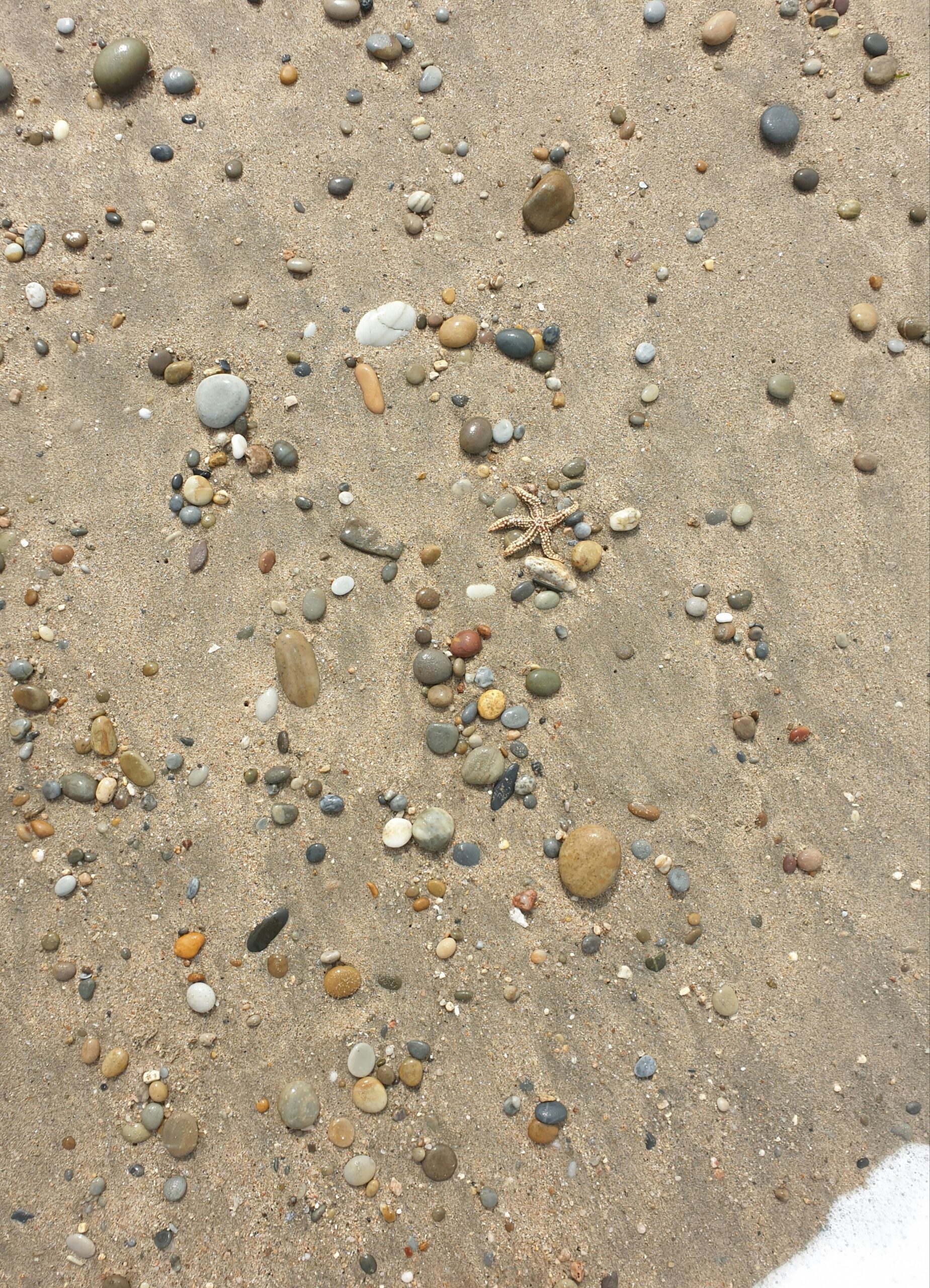 Stenen vinden op het strand: ontdek de geologische schatten van Nederland